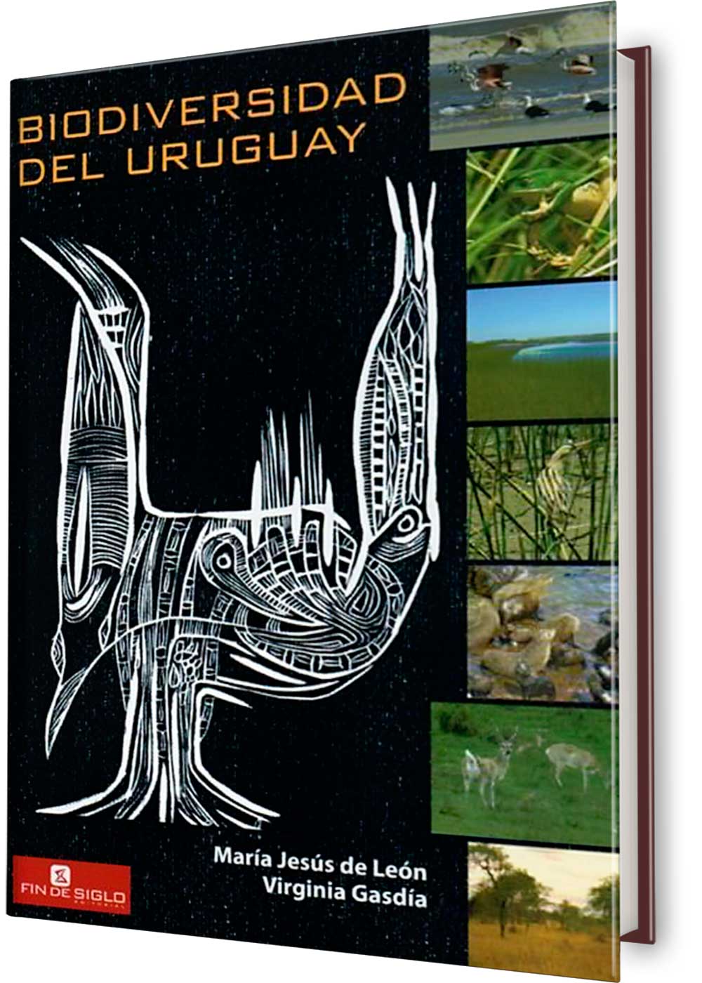 Biodiversidad del Uruguay