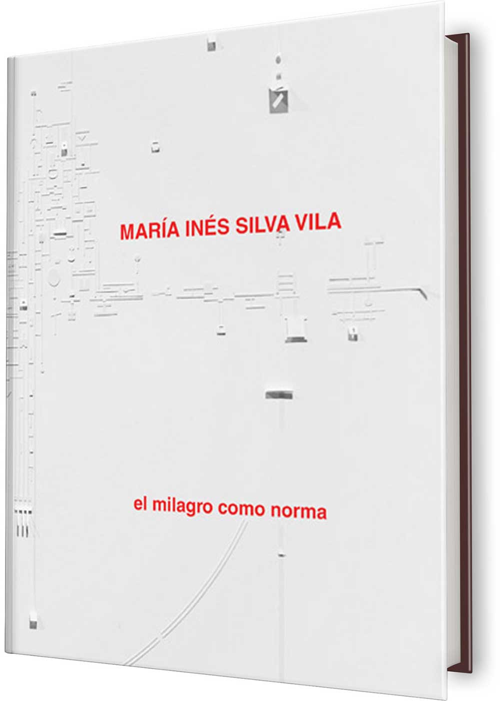 MARÍA INÉS SILVA VILA. EL MILAGRO COMO NORMA