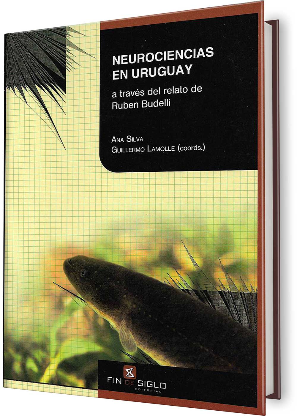 NEUROCIENCIAS EN URUGUAY