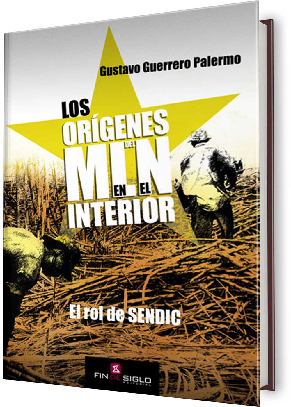 ORÍGENES DEL MLN EN EL INTERIOR, LOS