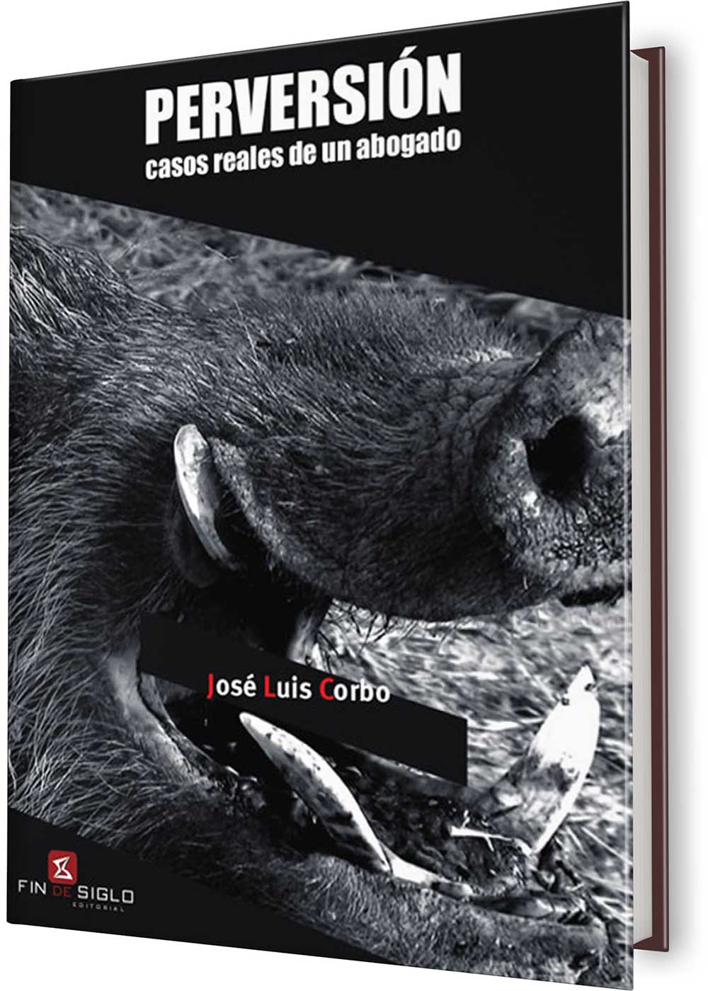 PERVERSIÓN. CASOS REALES DE UN ABOGADO