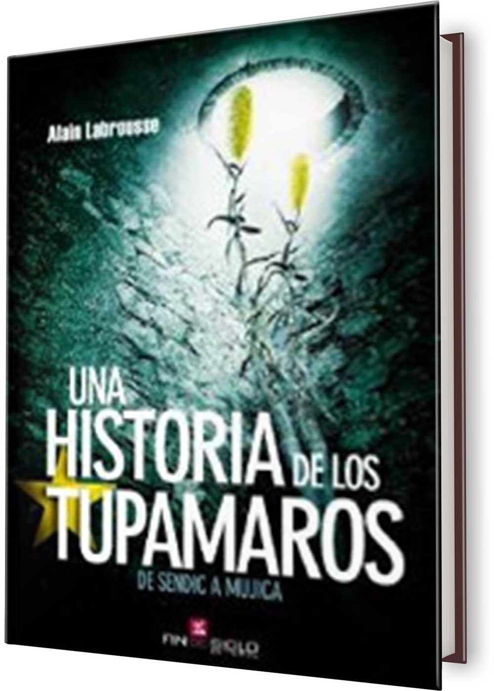 UNA HISTORIA DE TUPAMAROS