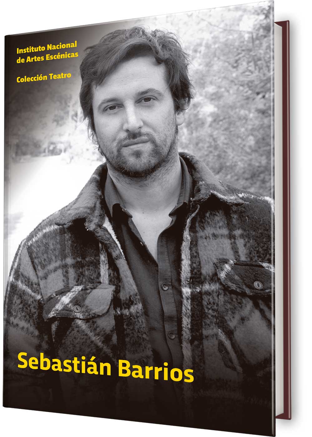 Sebastián Barrios – Colección teatro