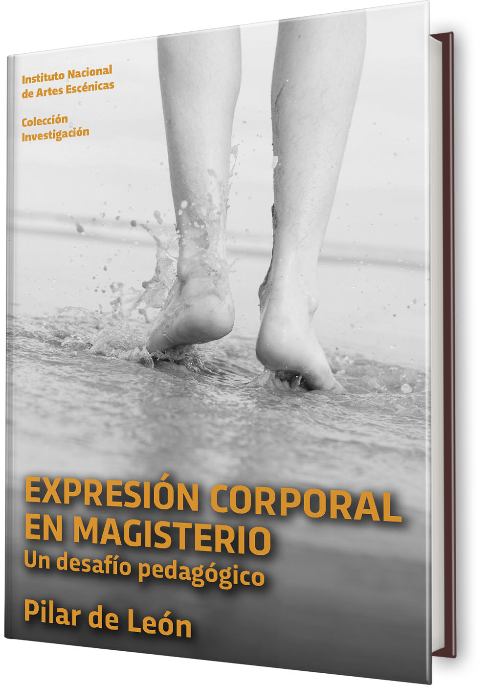 Expresión corporal en magisterio