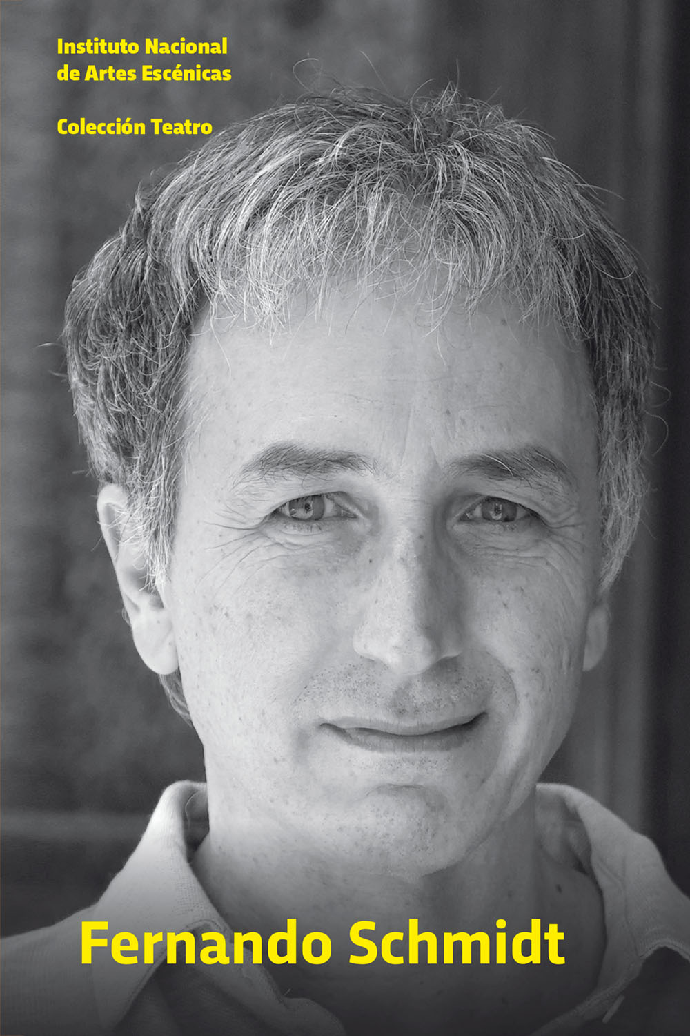 fernando schmidt - tapa